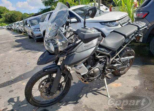 TRIUMPH TIGER 800 19/20