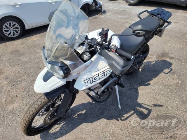 TRIUMPH TIGER 800 20/20